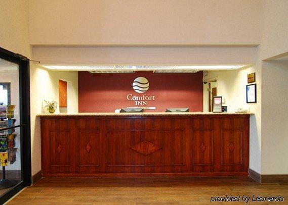 Quality Inn & Suites פיין בלאף מראה פנימי תמונה